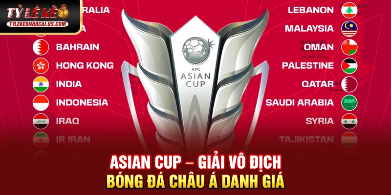 Asian Cup - Giải Đấu Vô Địch Bóng Đá Châu Á Đỉnh Cao 34 Asian Cup – Giải vô địch bóng đá châu Á danh giá